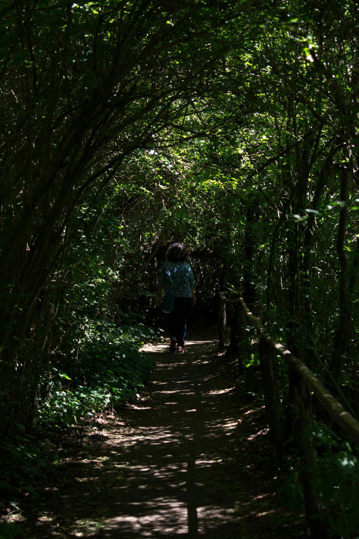 Oasi Naturalistica Sant'Alessio