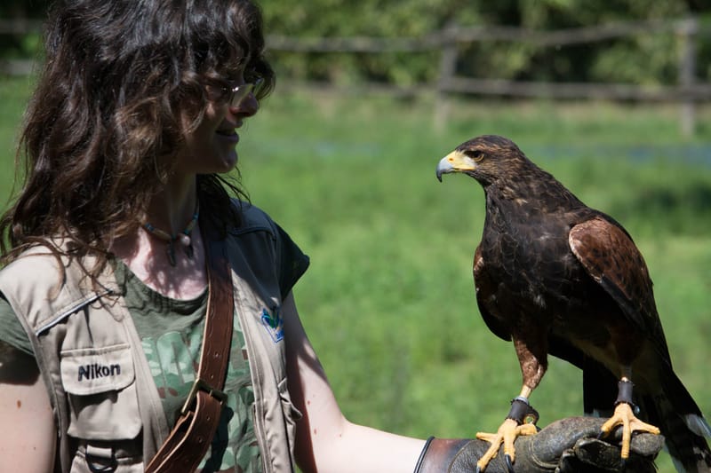 Oasi Naturalistica Sant'Alessio