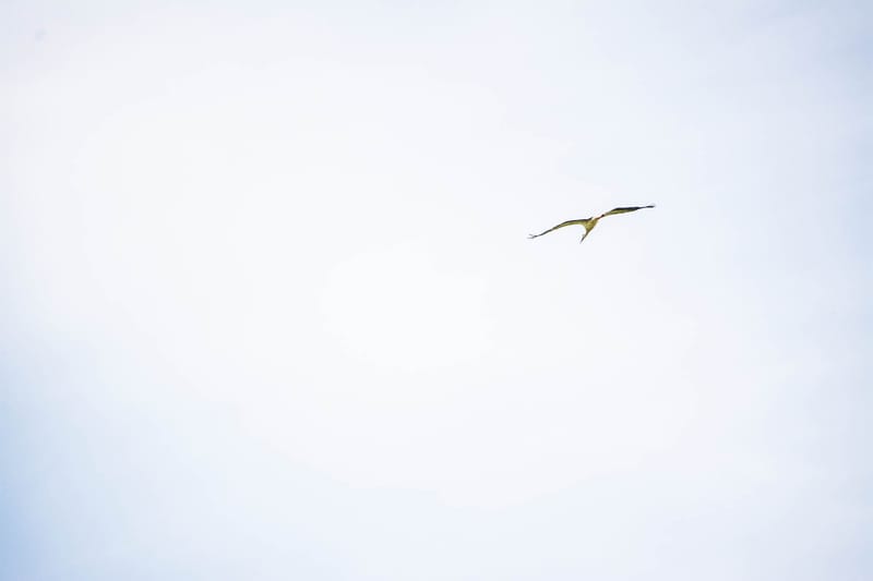 Oasi Naturalistica Sant'Alessio