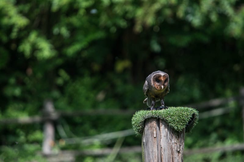 Oasi Naturalistica Sant'Alessio