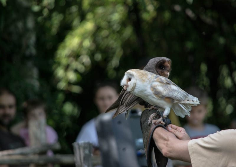 Oasi Naturalistica Sant'Alessio