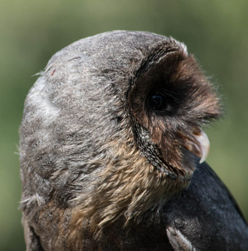 Oasi Naturalistica Sant'Alessio