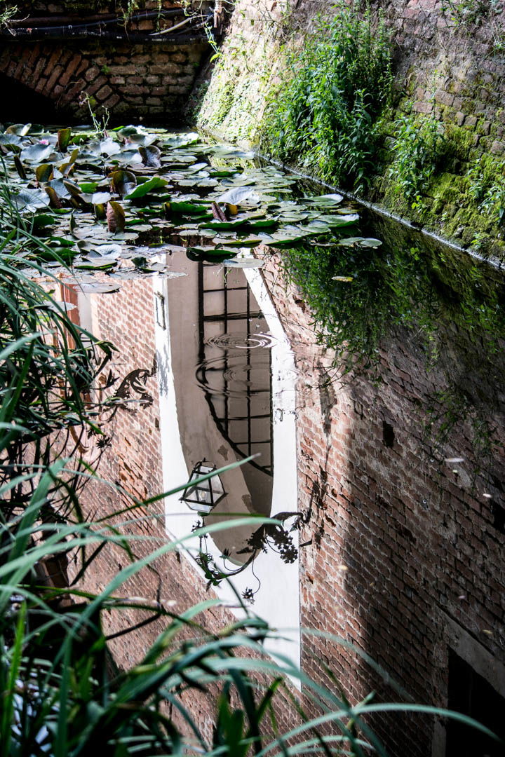 Oasi Naturalistica Sant'Alessio