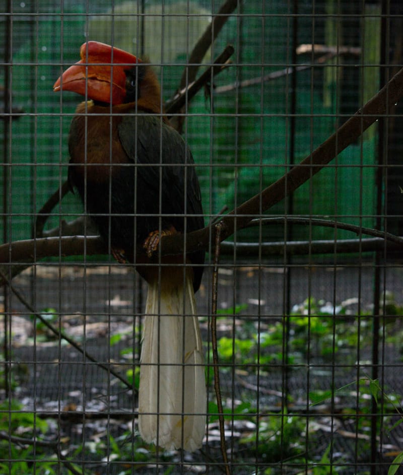 Oasi Naturalistica Sant'Alessio