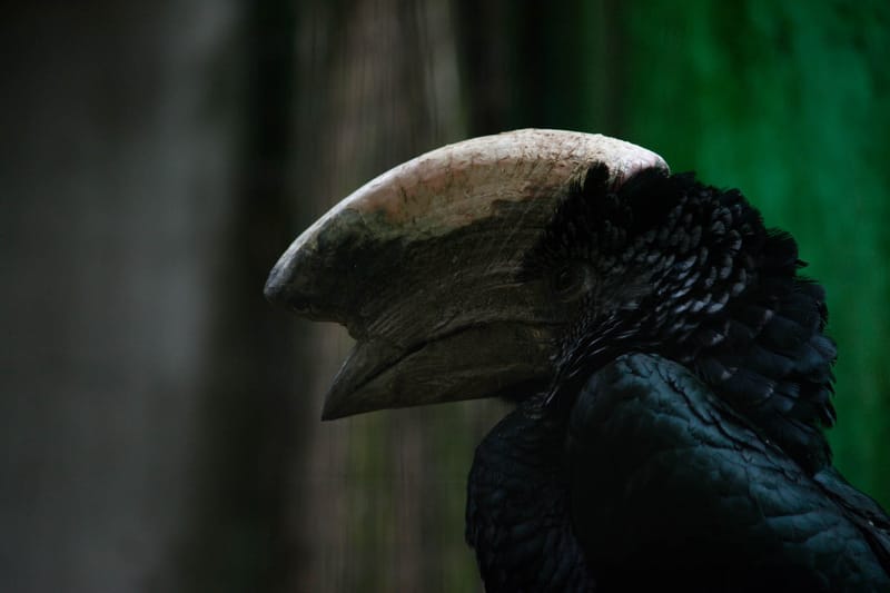 Oasi Naturalistica Sant'Alessio