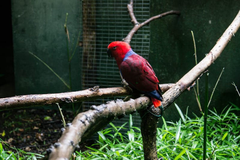 Oasi Naturalistica Sant'Alessio