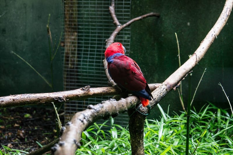 Oasi Naturalistica Sant'Alessio