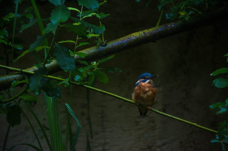 Oasi Naturalistica Sant'Alessio