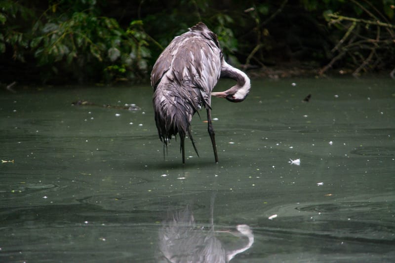 Oasi Naturalistica Sant'Alessio