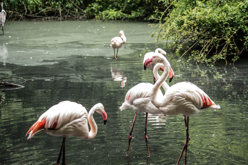 Oasi Naturalistica Sant'Alessio