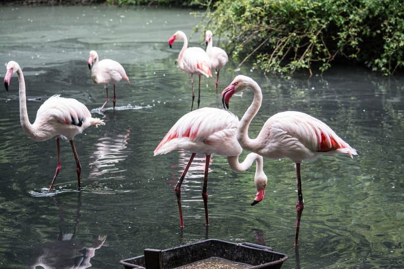 Oasi Naturalistica Sant'Alessio