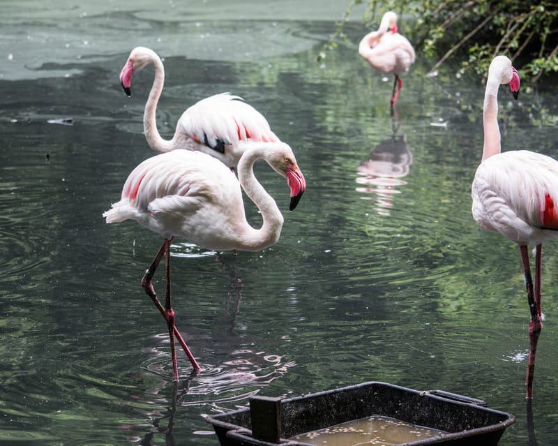 Oasi Naturalistica Sant'Alessio