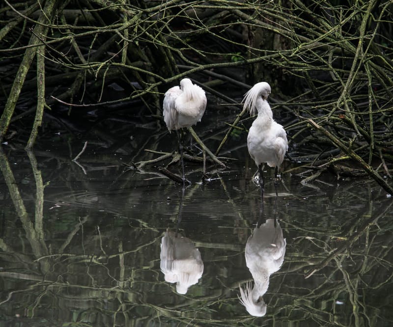 Oasi Naturalistica Sant'Alessio