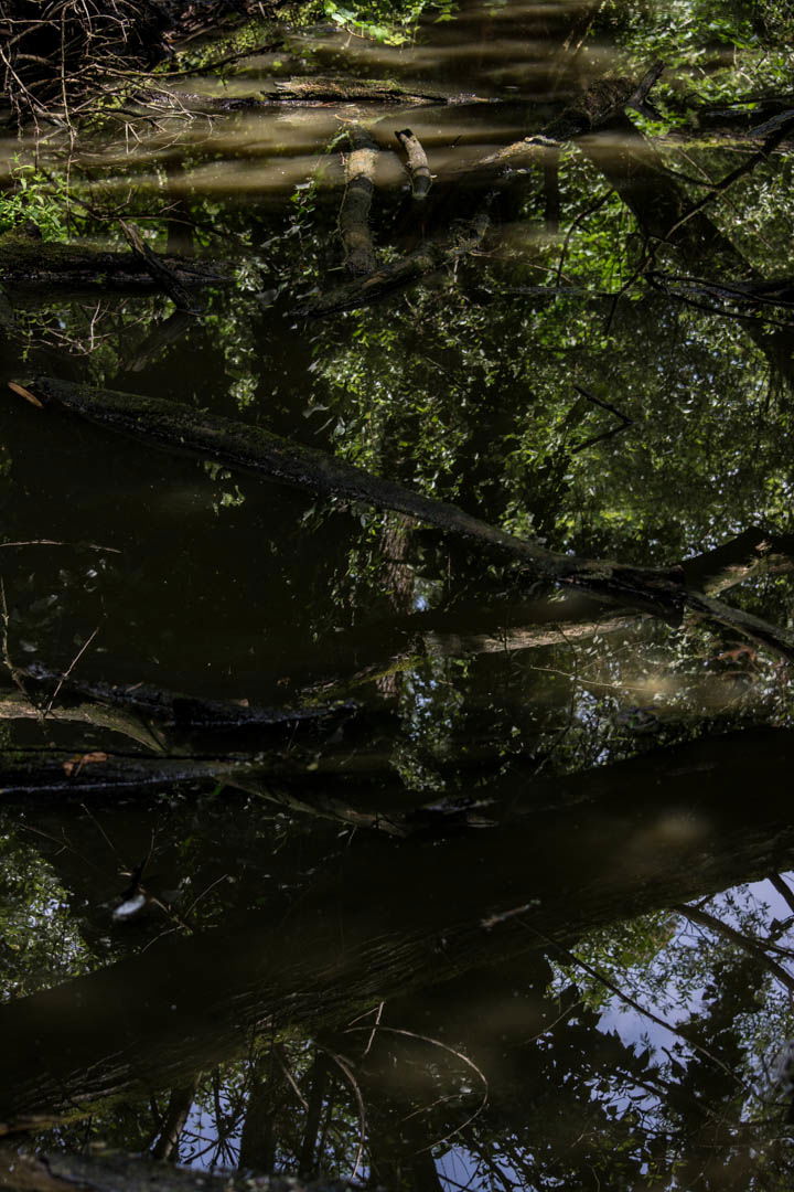 Oasi Naturalistica Sant'Alessio