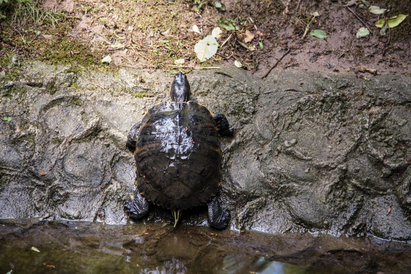 Oasi Naturalistica Sant'Alessio