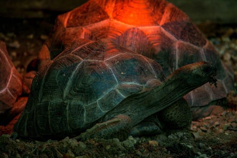 Oasi Naturalistica Sant'Alessio