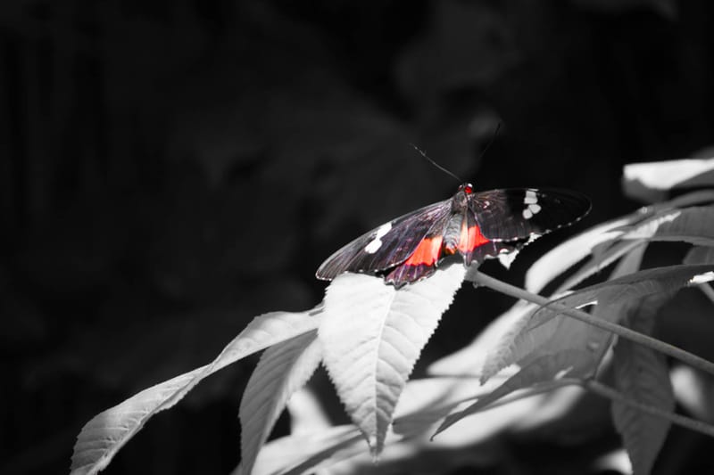 Oasi Naturalistica Sant'Alessio