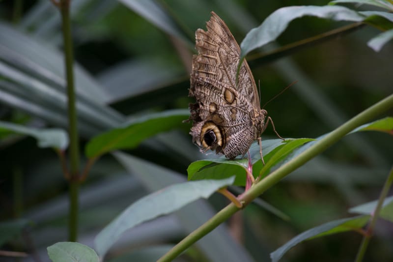 Oasi Naturalistica Sant'Alessio