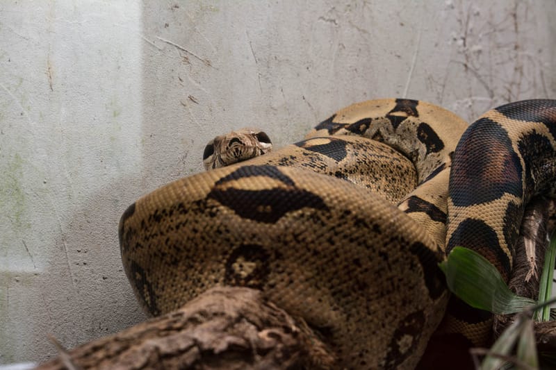 Oasi Naturalistica Sant'Alessio