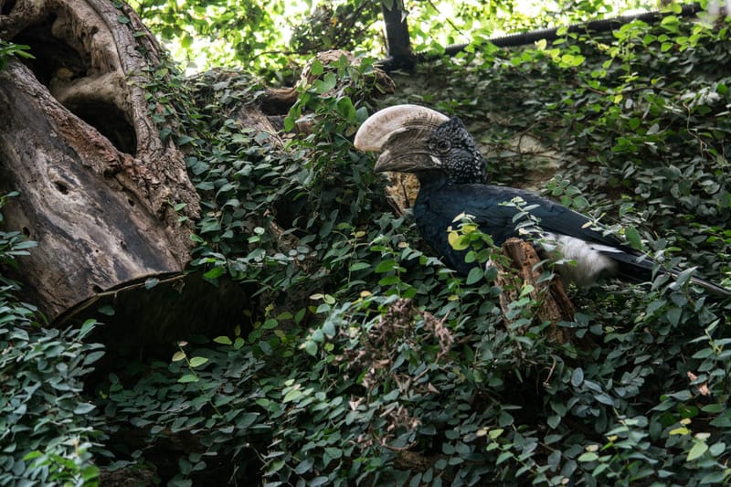 Oasi Naturalistica Sant'Alessio