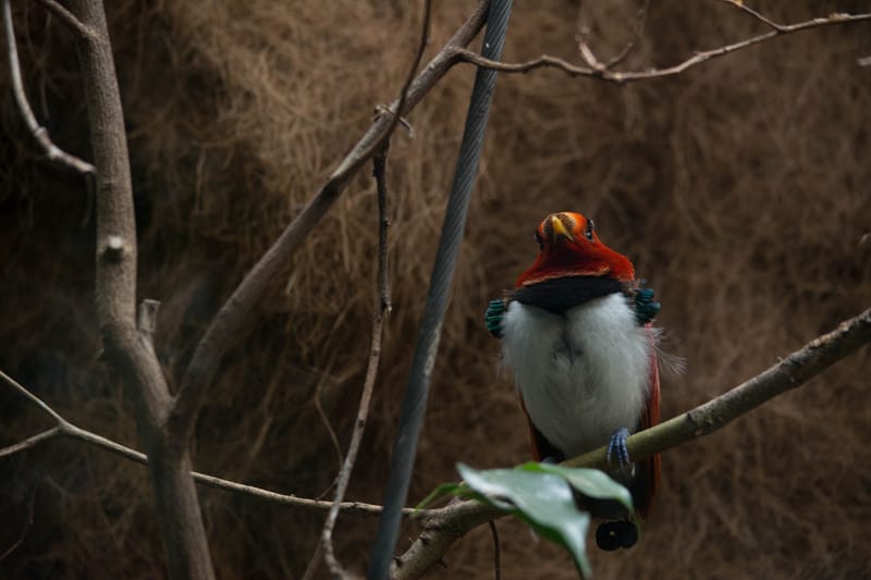 Oasi Naturalistica Sant'Alessio