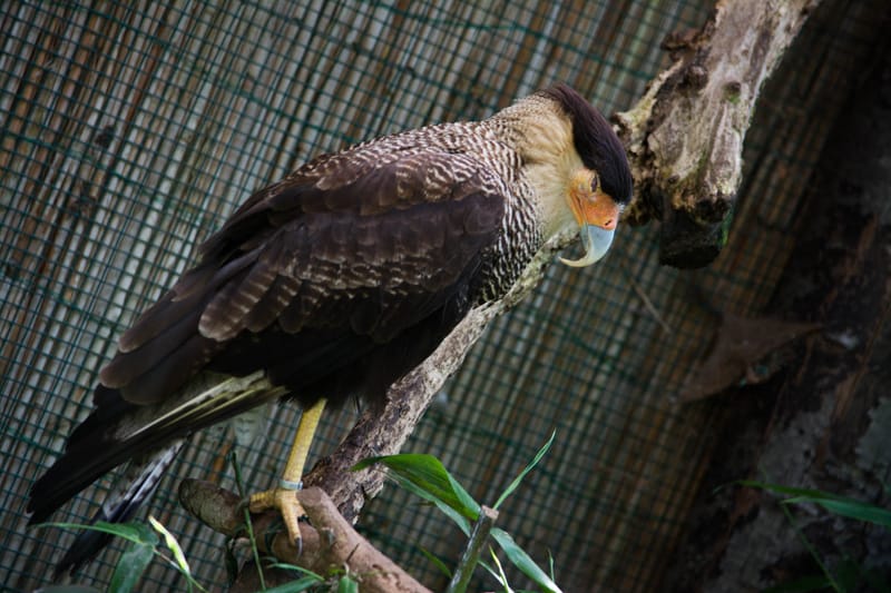 Oasi Naturalistica Sant'Alessio
