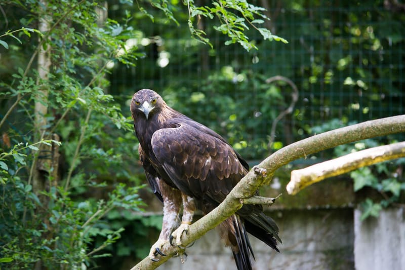 Oasi Naturalistica Sant'Alessio
