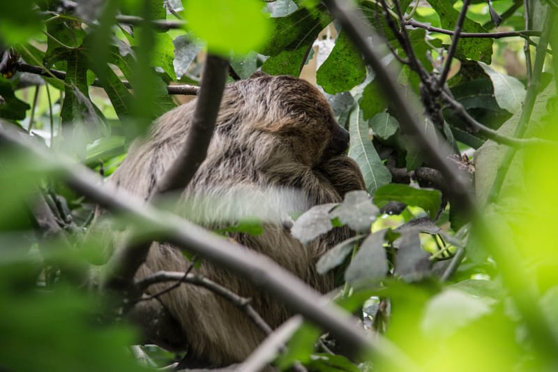 Oasi Naturalistica Sant'Alessio