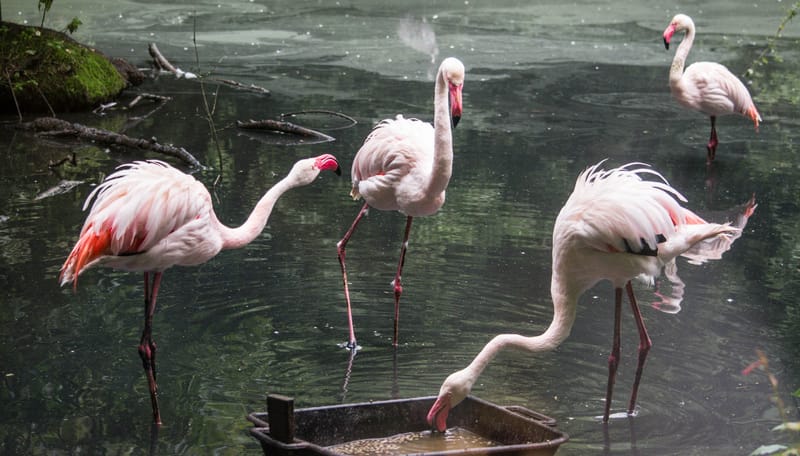 Oasi Naturalistica Sant'Alessio