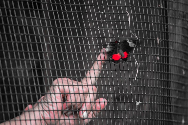 Oasi Naturalistica Sant'Alessio