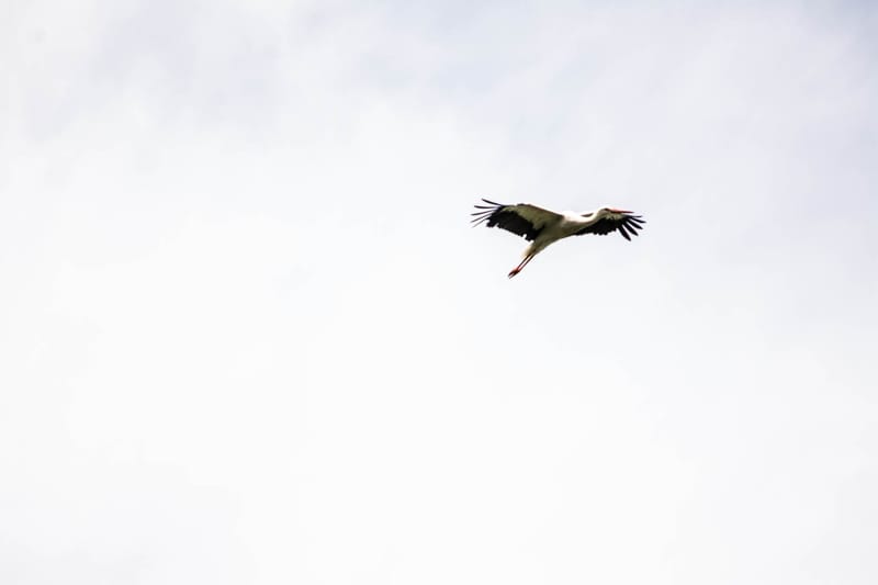 Oasi Naturalistica Sant'Alessio