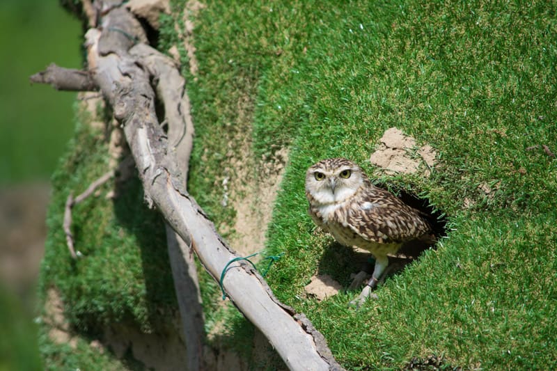 Oasi Naturalistica Sant'Alessio