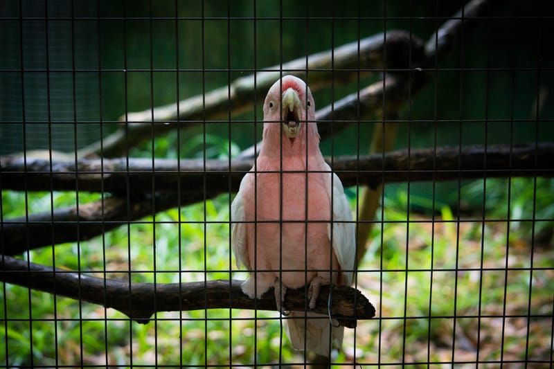Oasi Naturalistica Sant'Alessio