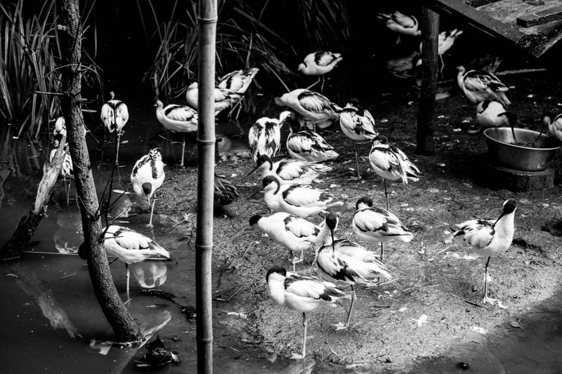 Oasi Naturalistica Sant'Alessio