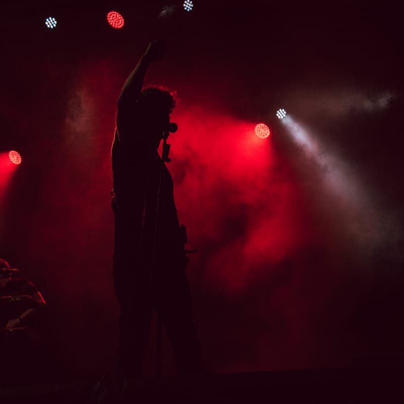 Lo Stato Sociale live Flowers Festival