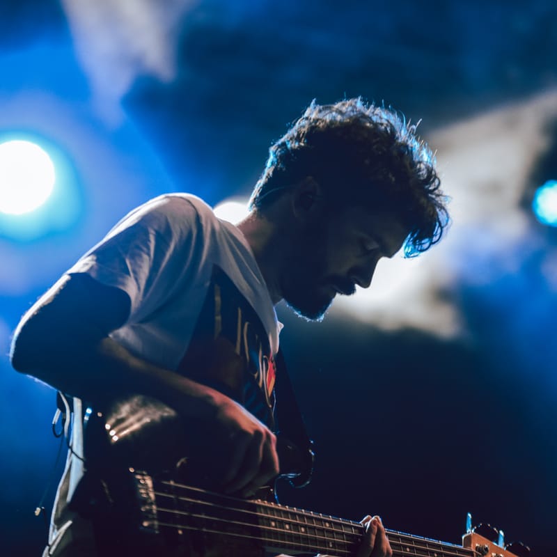 Lo Stato Sociale live Flowers Festival