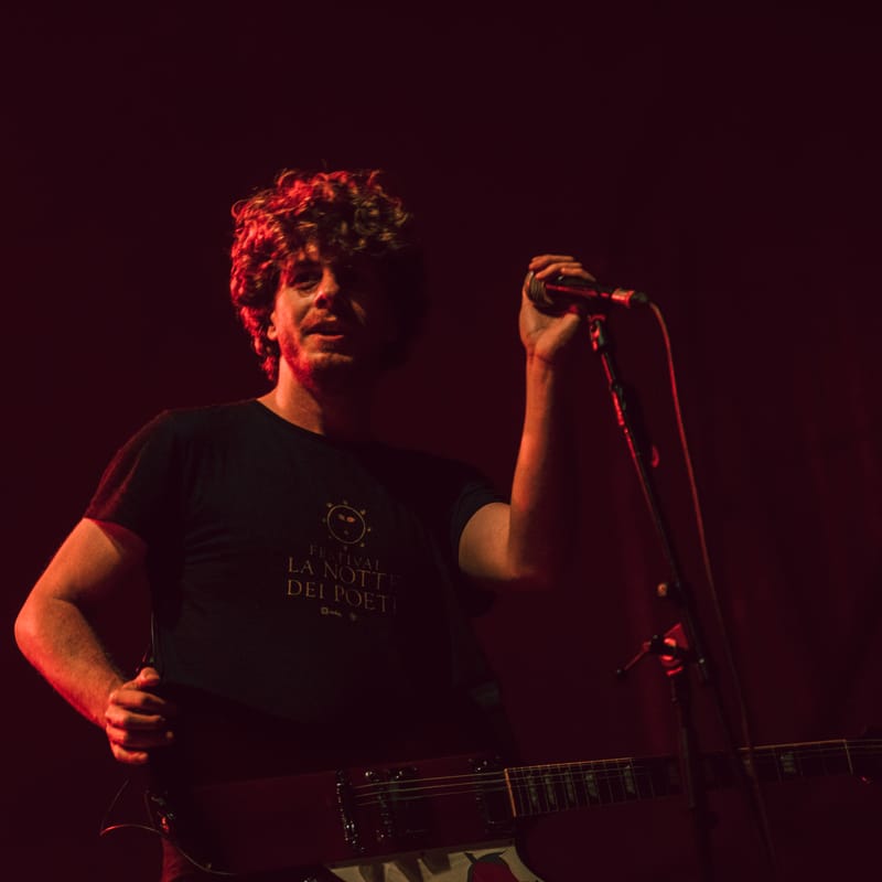 Lo Stato Sociale live Flowers Festival