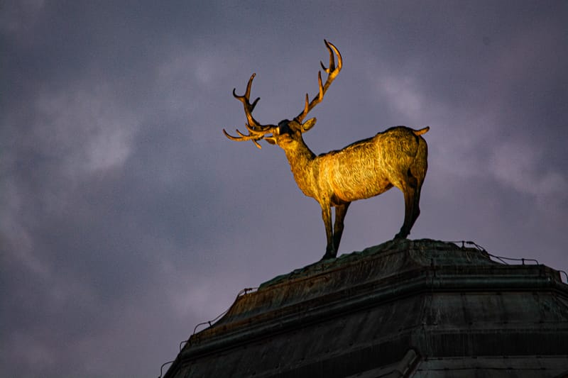 Antonelli Venditti live a Torino