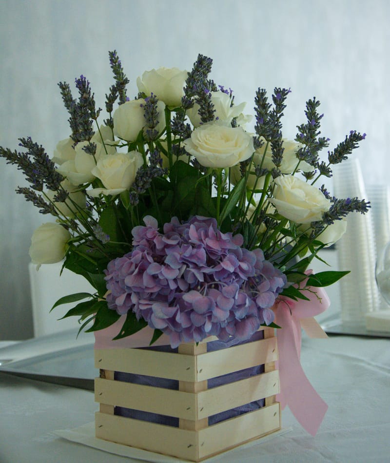 Il battesimo di Roberta