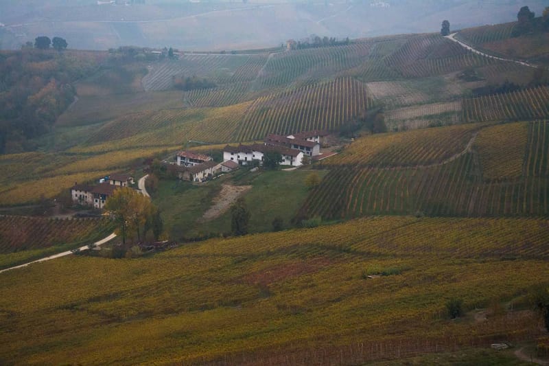 Langhe in Autunno