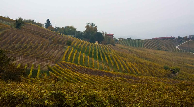 Langhe in Autunno