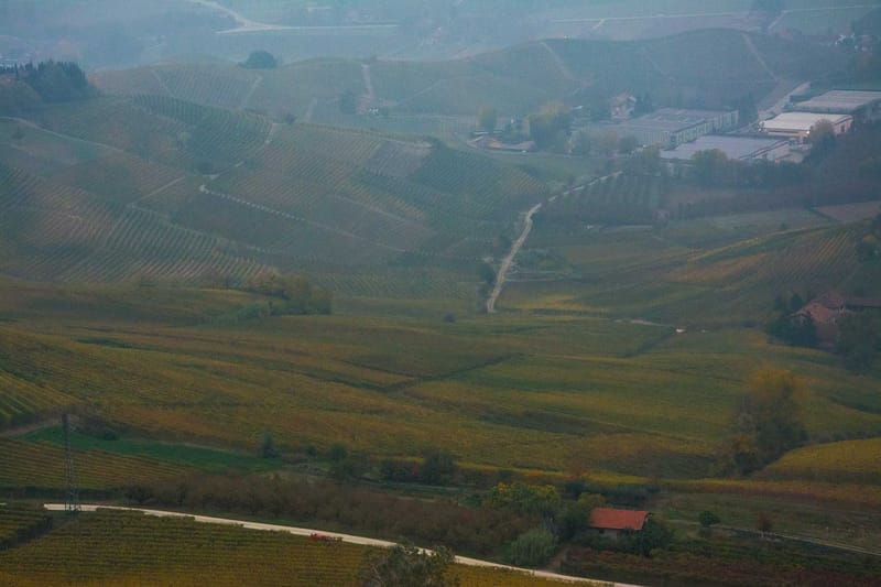 Langhe in Autunno