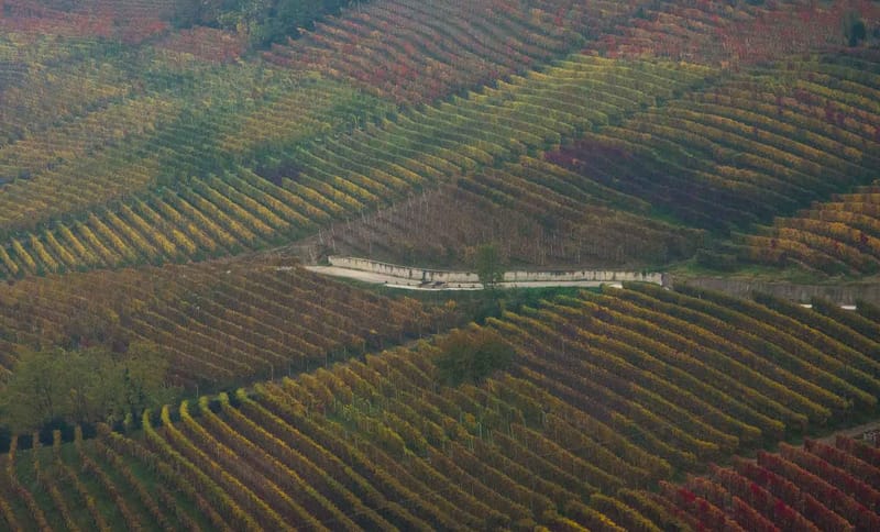 Langhe in Autunno