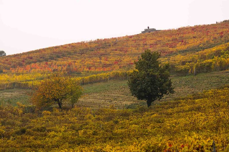 Langhe in Autunno