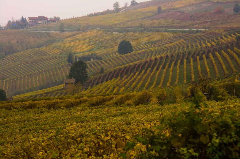 Langhe in Autunno