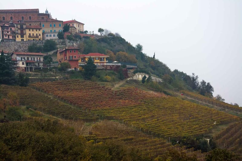 Langhe in Autunno