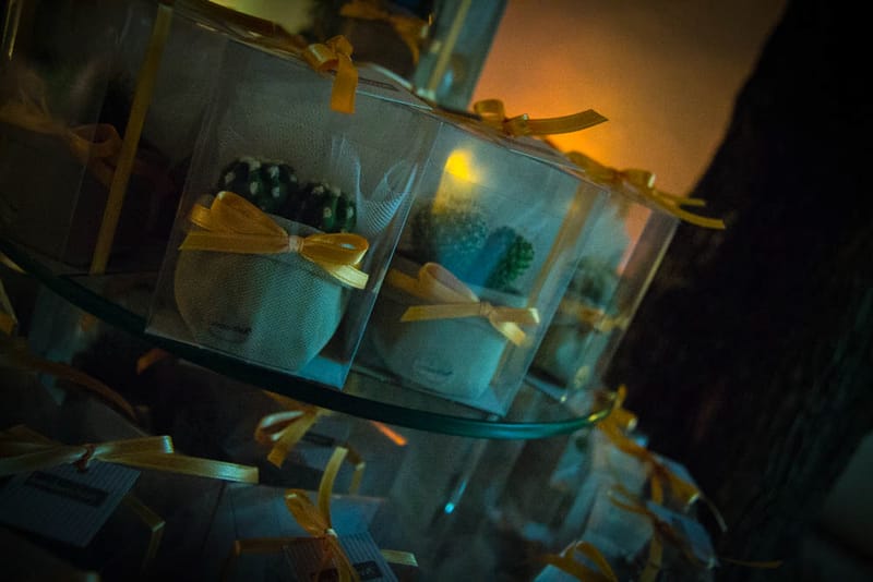 Il matrimonio di Maria e Francesco 