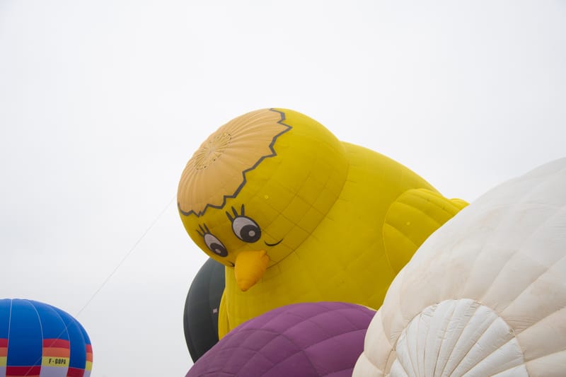 35esimo Raduno Aerostatico Internazionale dell'Epifania 