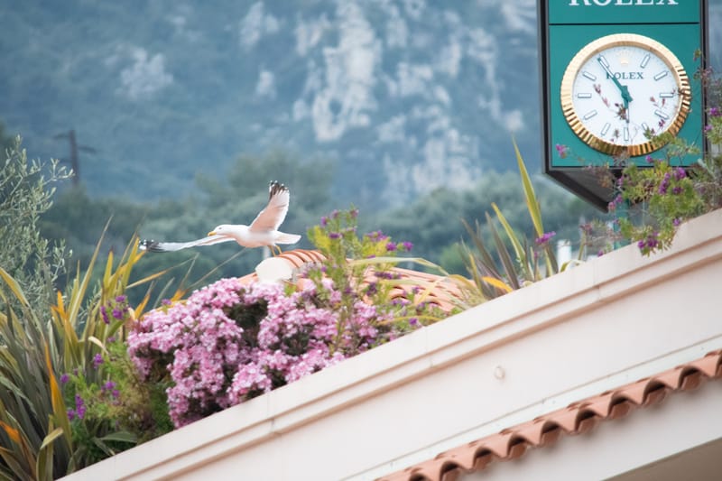 Rolex Montecarlo Masters 2025 (Montecarlo)