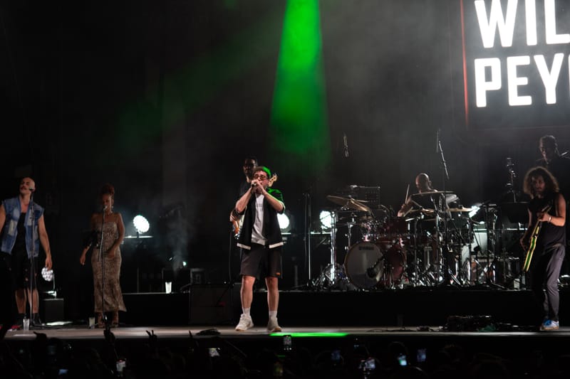 Willie Peyote live Flowers Festival 2025